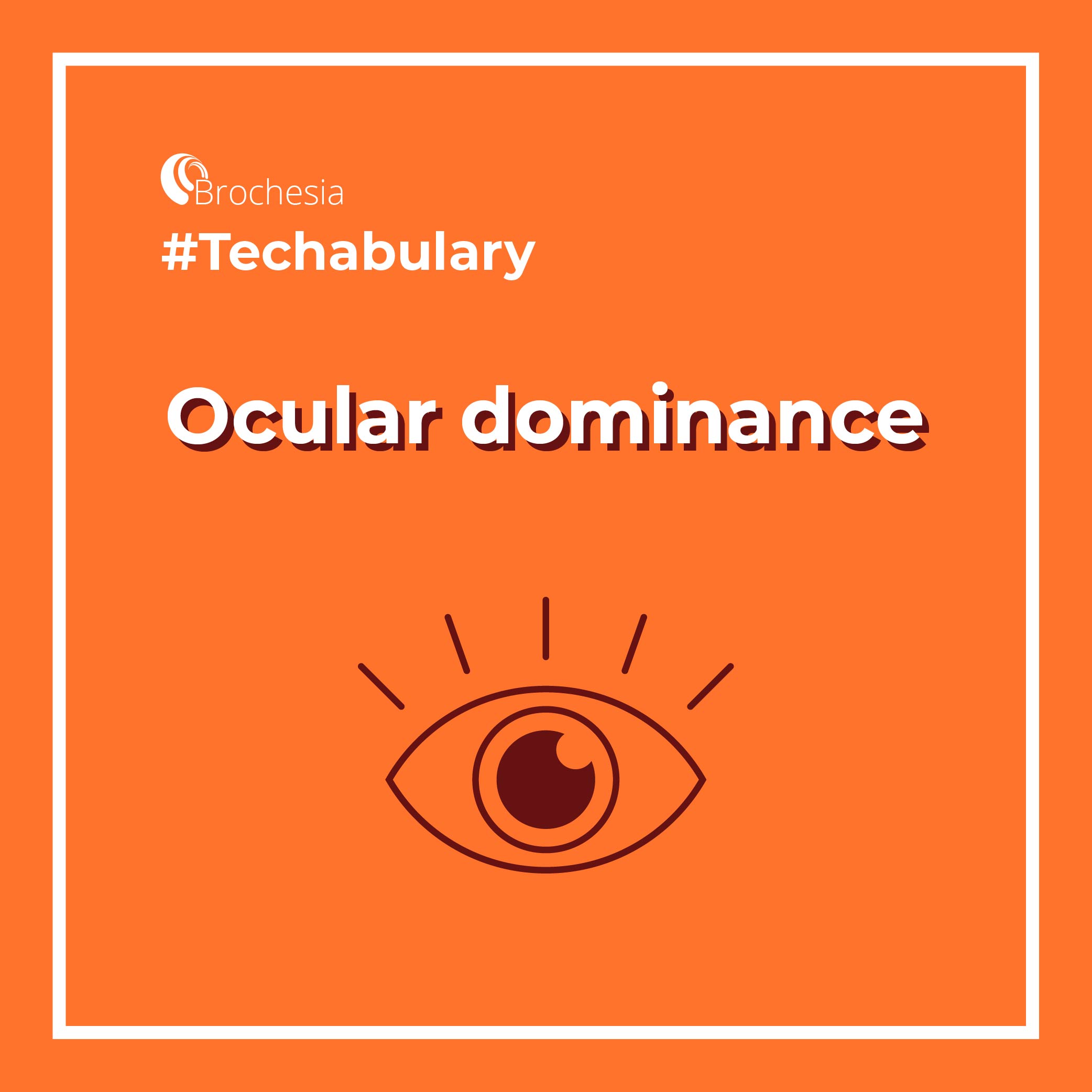 ocular dominance